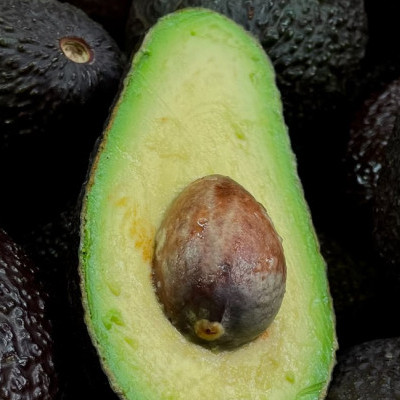 avocado