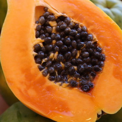 Papaya